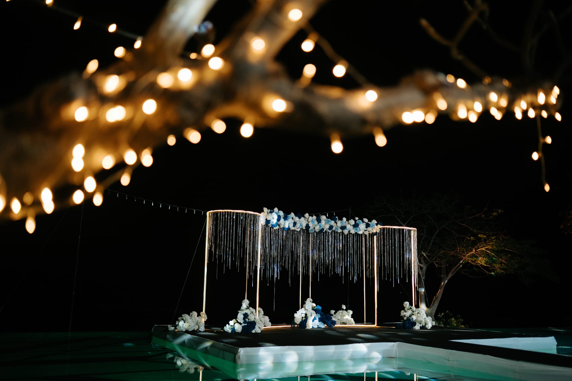 Avinash & Preeti — photo 11
