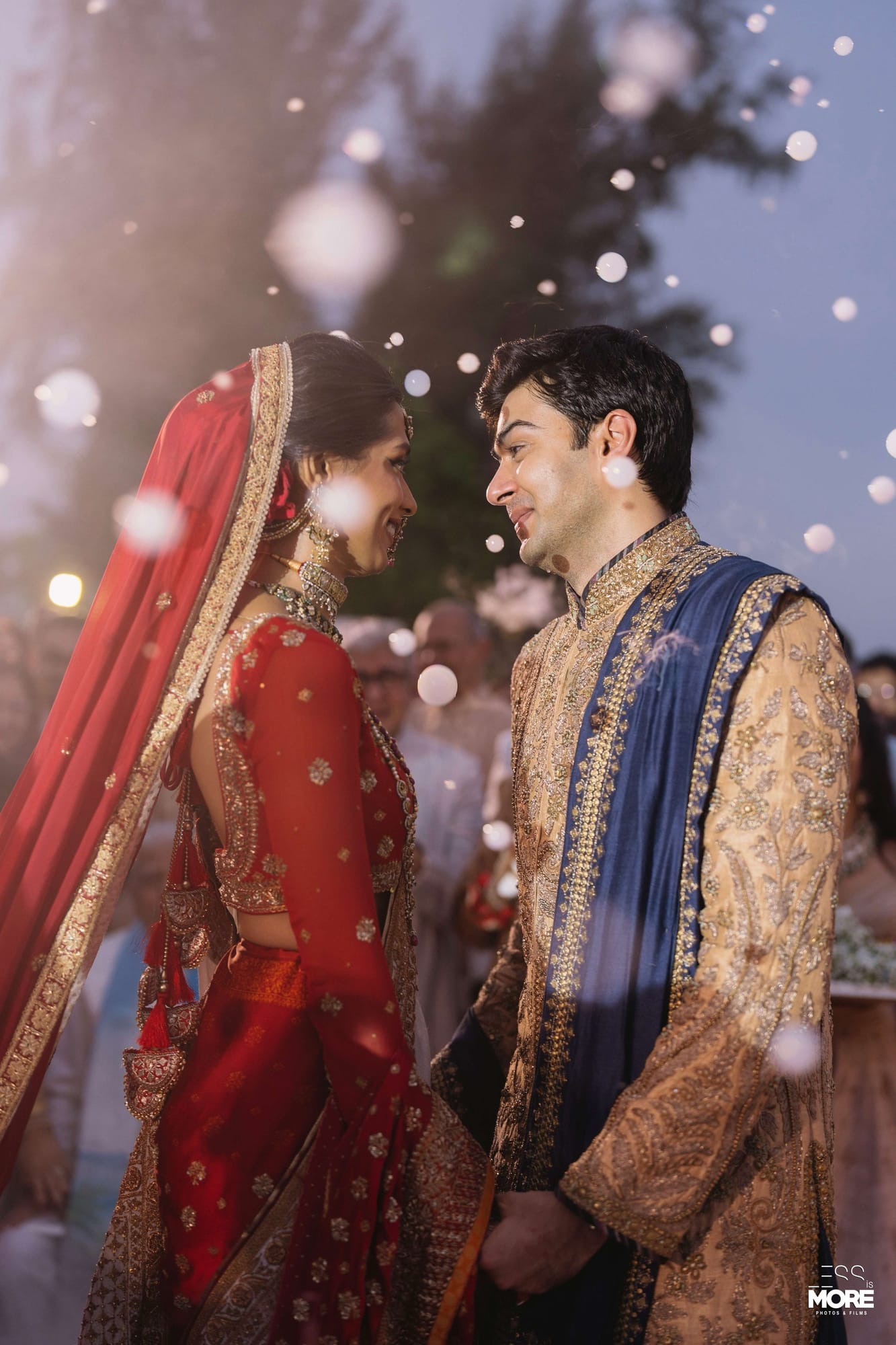 Diva & Vishesh — photo 42