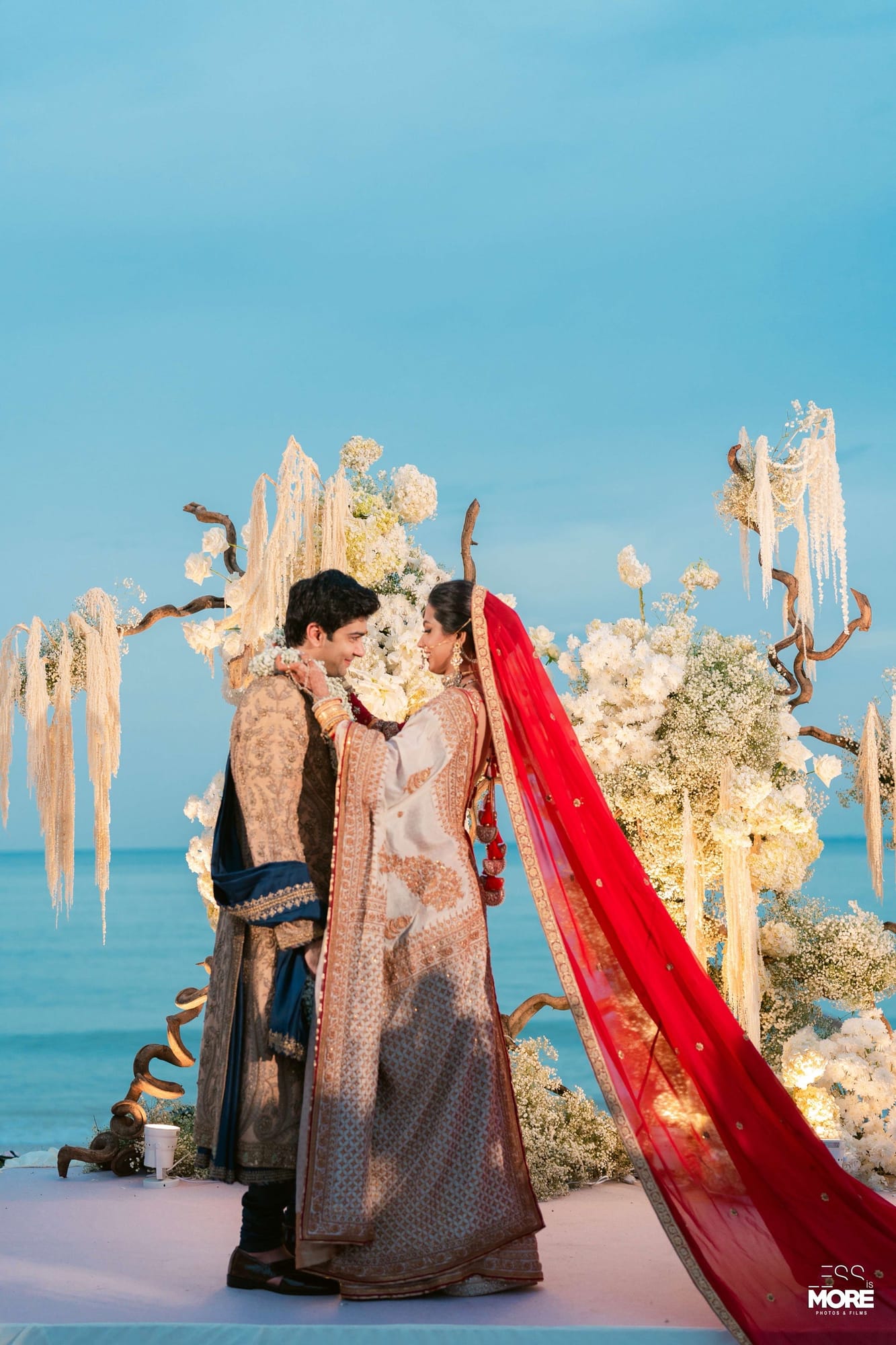 Diva & Vishesh — photo 43