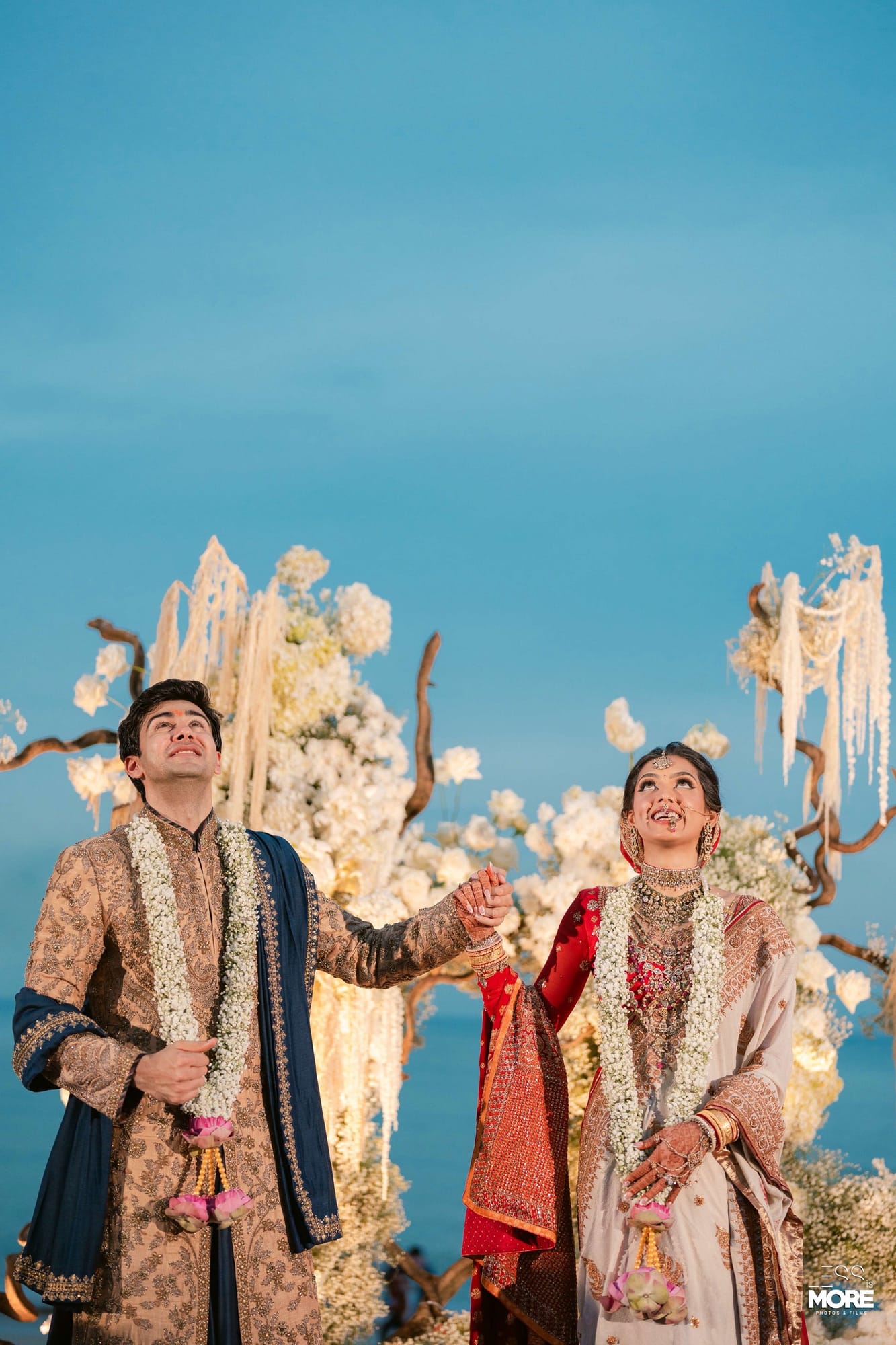 Diva & Vishesh — photo 47